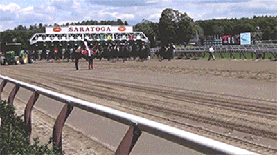 Vinstar Euthanized at Churchill